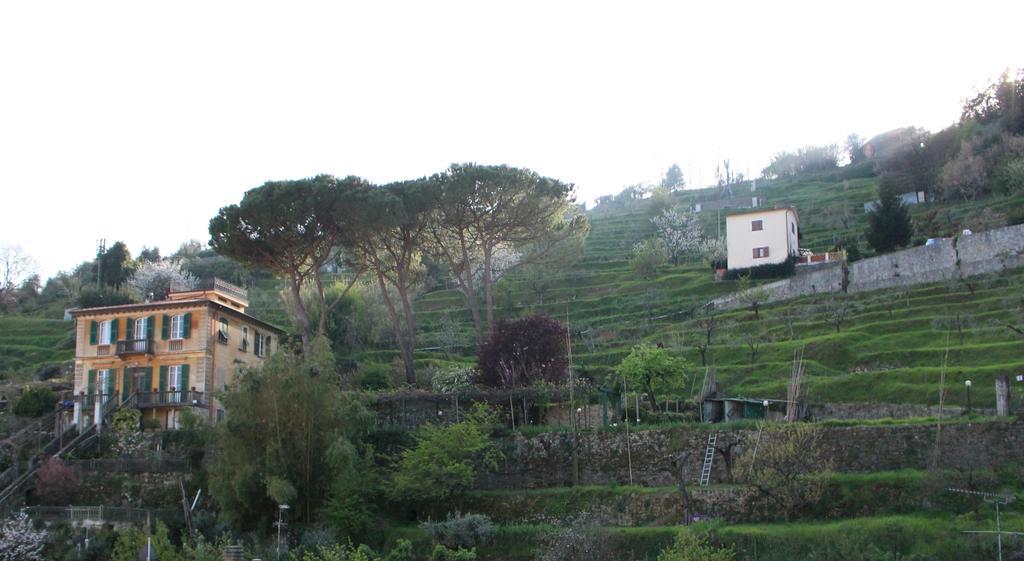 A Casa Di Mariro Apartment